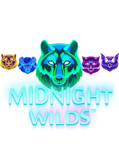 মিডনাইট ওয়াইল্ড